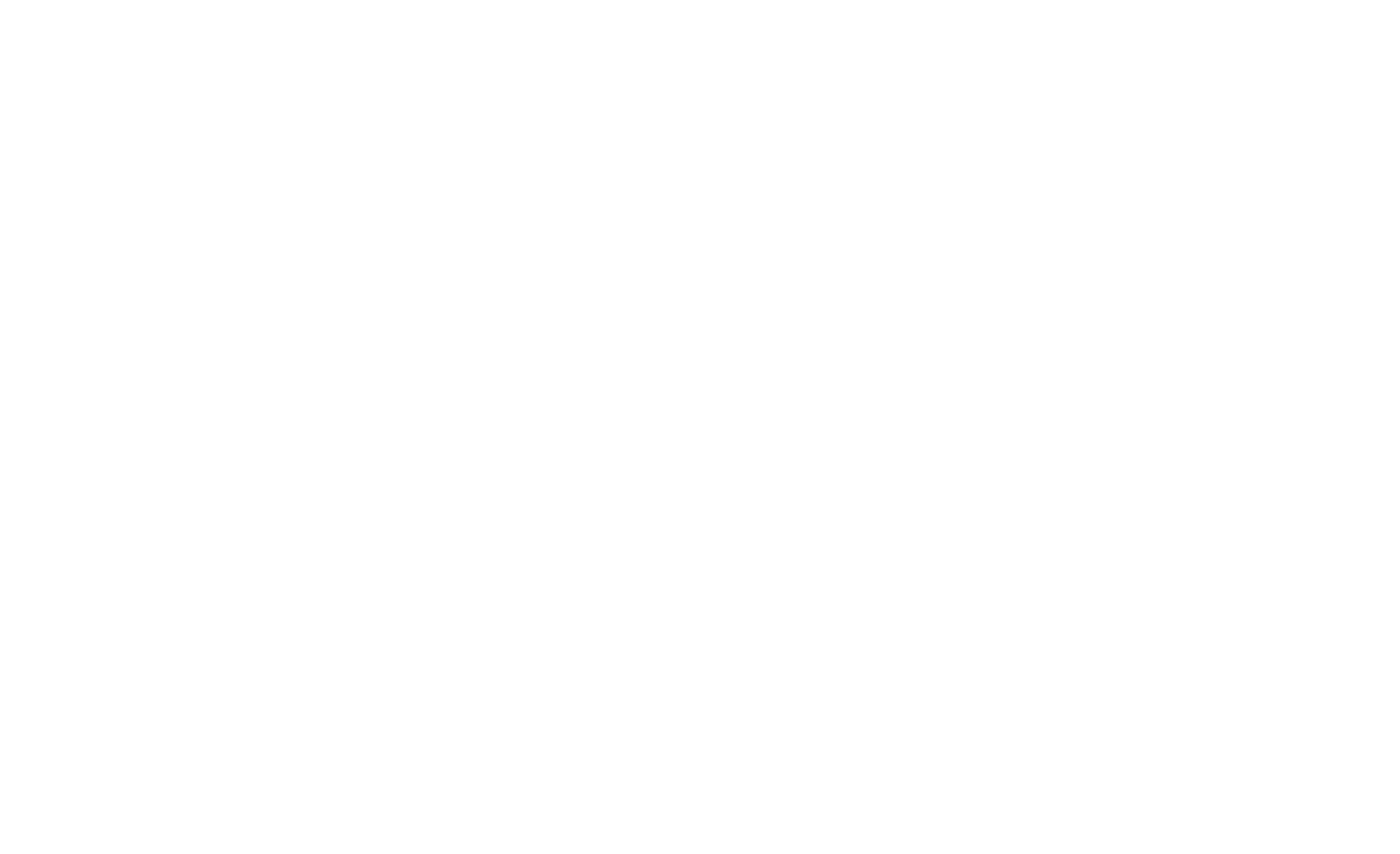 RSI Logo White-1